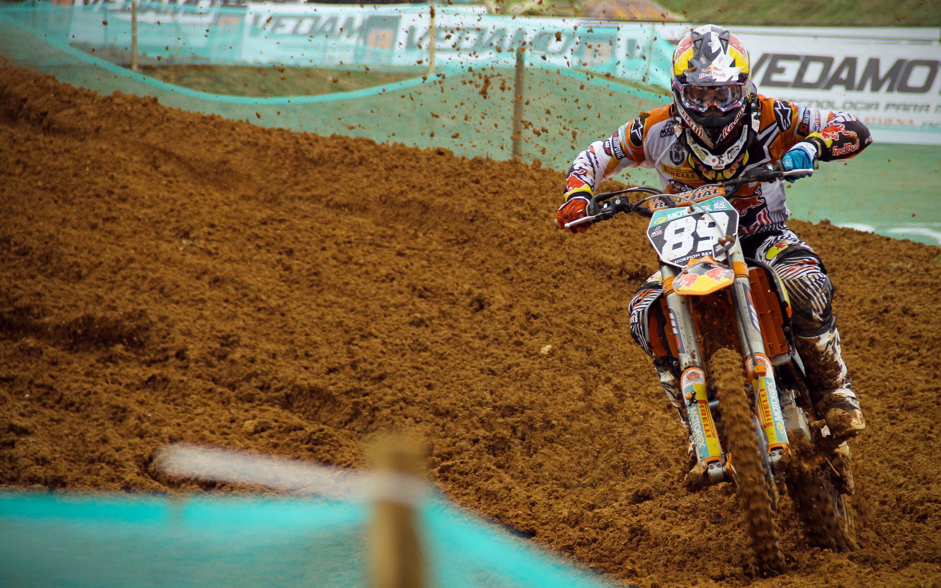 从城市到乡村的全景自行车骑行,绿色出行新趋势,骑行美丽乡村